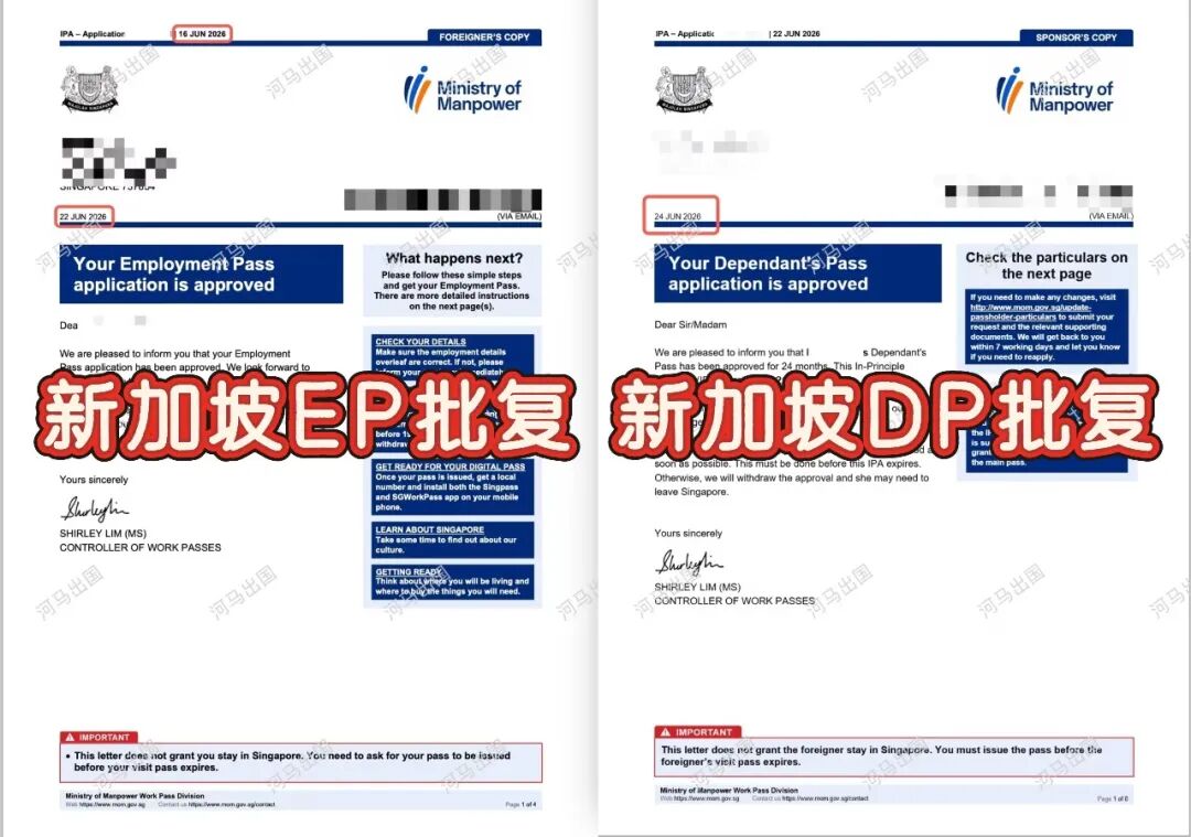 【河马出国喜讯】新注册公司也能申请新加坡 EP？95 后夫妻 8 天获批案例解析~2026.6.25